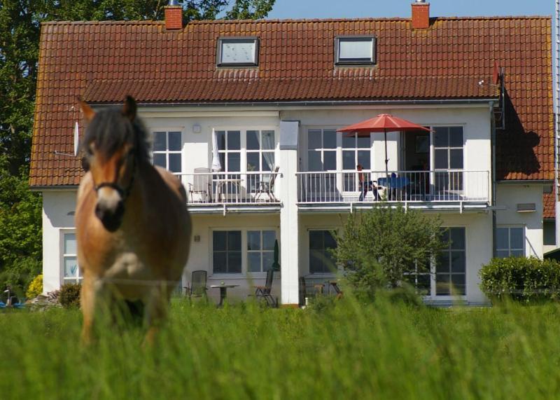 Ferienwohnung Boddenblick Zudar Eksteriør bilde